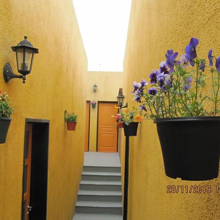 Apart Casas Del Centro 엘 칼라파테 외부 사진
