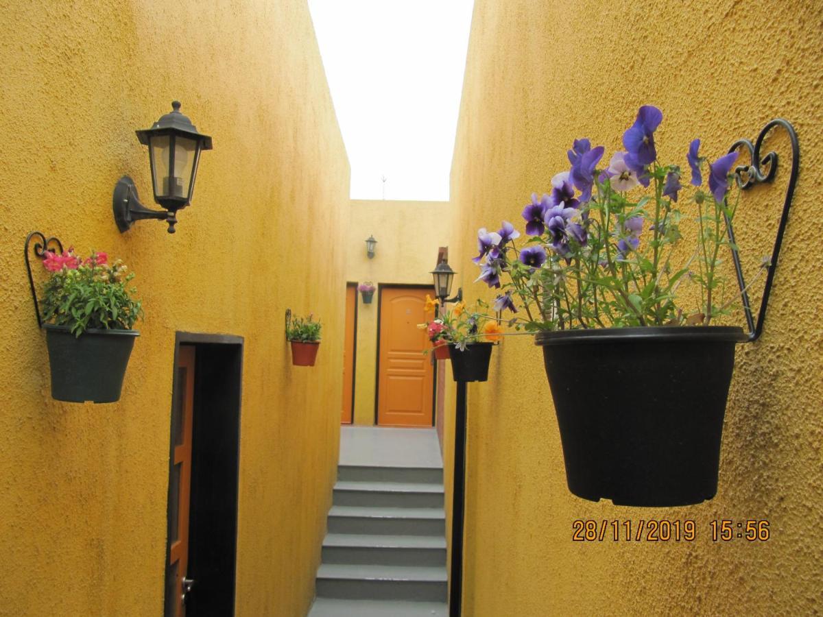 Apart Casas Del Centro 엘 칼라파테 외부 사진